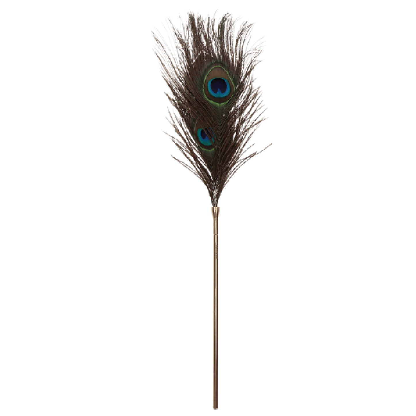 Peacock Tickler