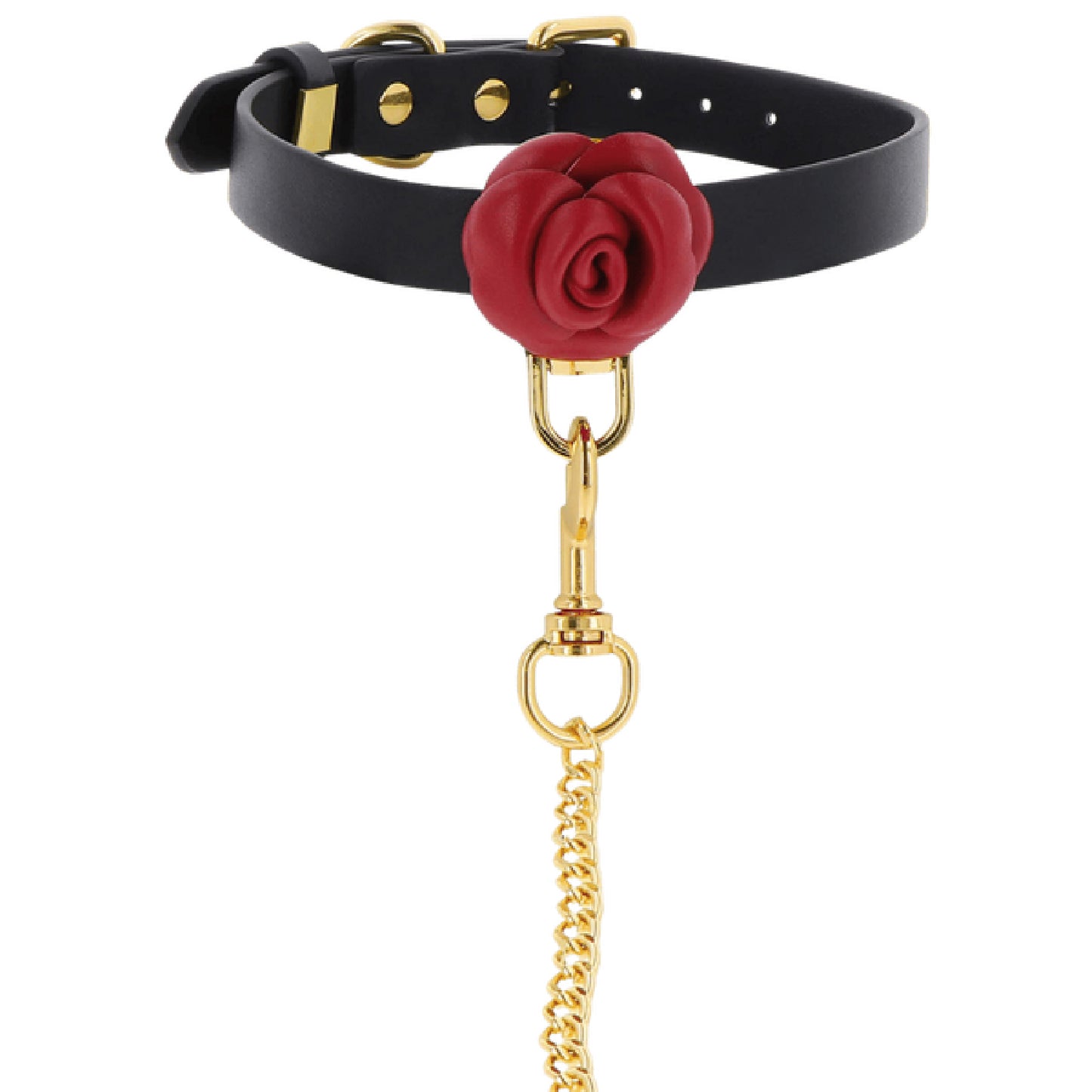 Wild Roses Collar & Leash