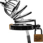 Stainless Steel Chastity Cage With Silicone Urethral Plug