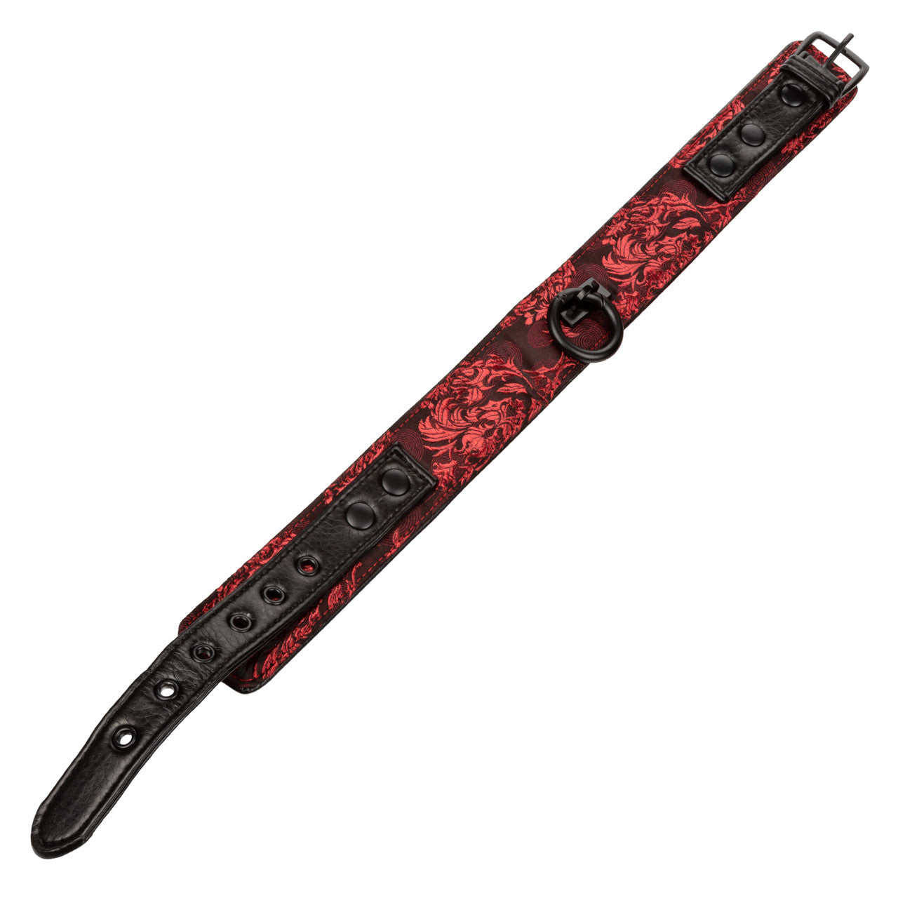 Calexotics Scandal Collar with Leash Red