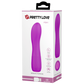 Rechargeable Adam