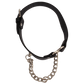 Heart Collar with a Chain