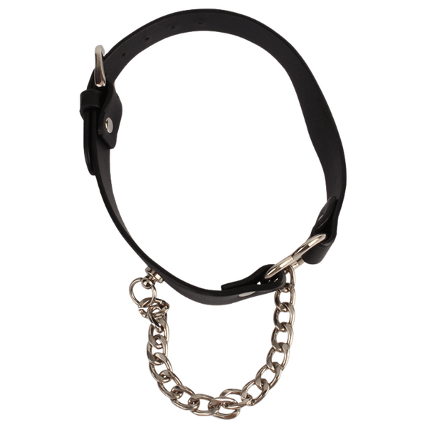 Heart Collar with a Chain