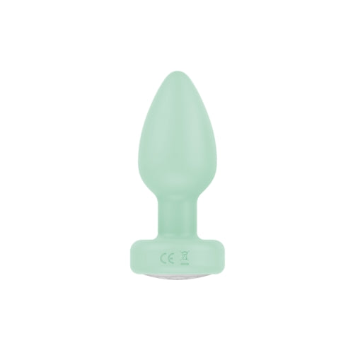Pr17: VIBRATING PLUG W/ REMOTE - PURPLE