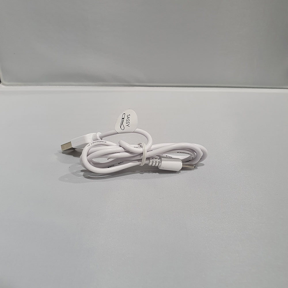 Pillow Talk Replacement Charger