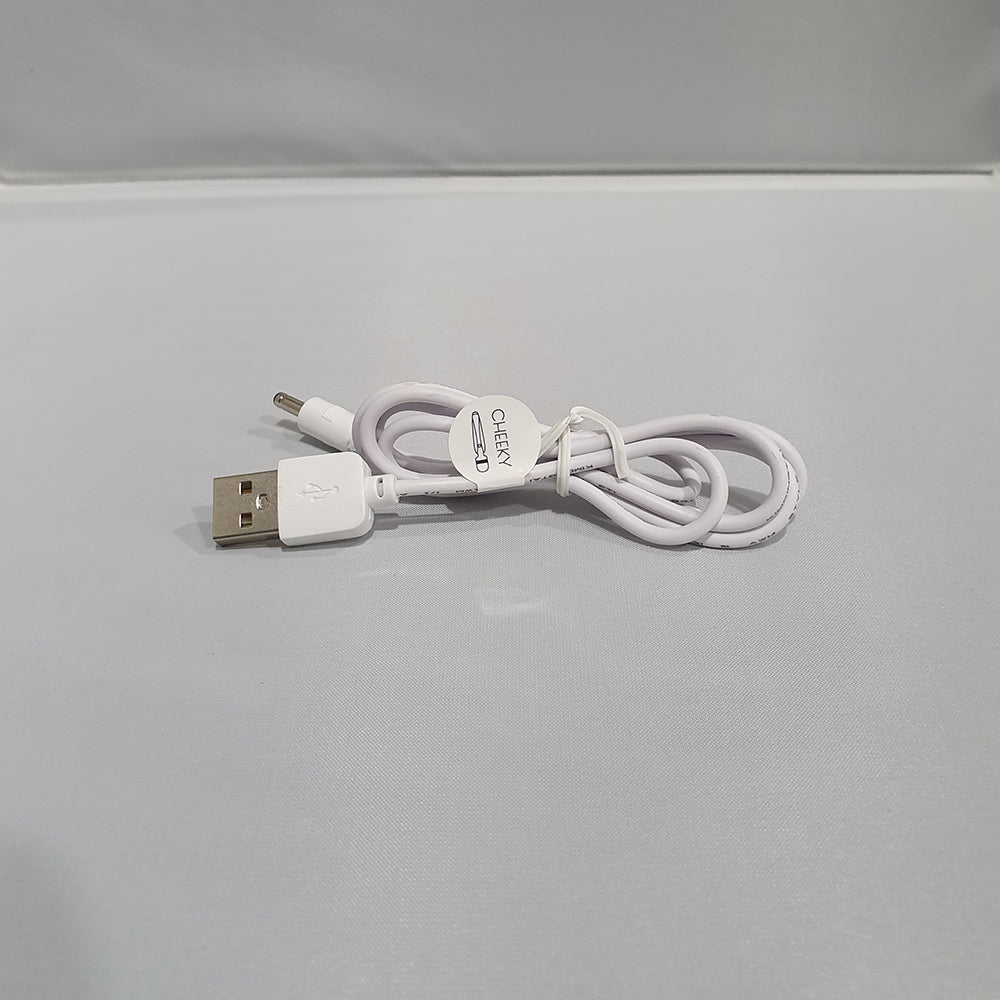 Pillow Talk Replacement Charger