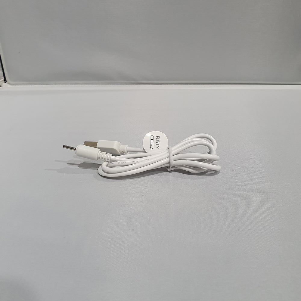 Pillow Talk Replacement Charger