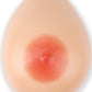 Sweetie Bosom Realistic Silicone Breast Fake Boob 800g