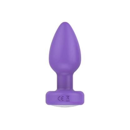Pr17: VIBRATING PLUG W/ REMOTE - PURPLE
