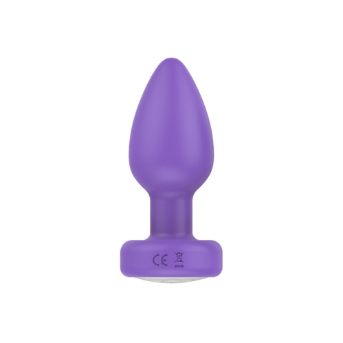 Pr17: VIBRATING PLUG W/ REMOTE - PURPLE